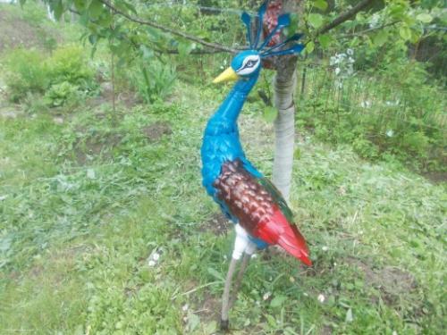 Как сделать павлина из пластиковых бутылок своими руками пошагово. Руководство по изготовлению благородной птицы 01