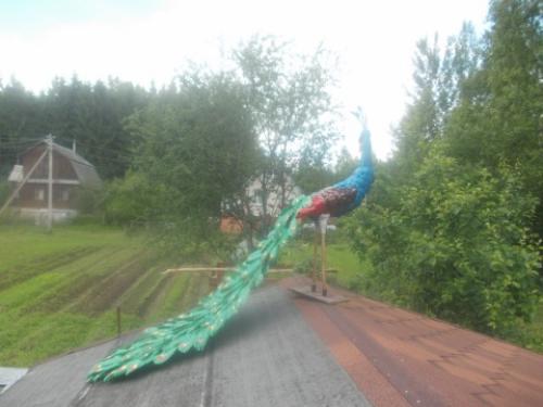 Как сделать павлина из пластиковых бутылок своими руками пошагово. Руководство по изготовлению благородной птицы 06 Как сделать павлина из пластиковых бутылок своими руками пошагово. Руководство по изготовлению благородной птицы 06