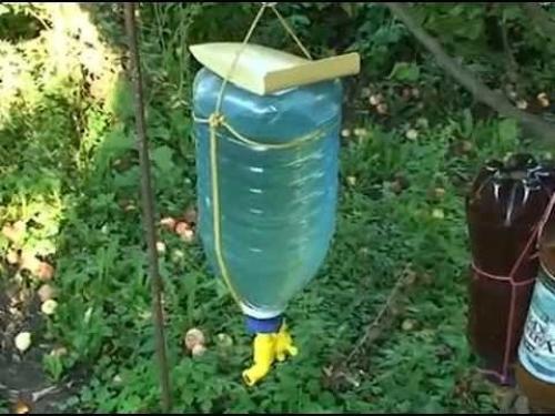 Что можно сделать из пластиковых пятилитровых бутылок. 5 необычных идей применения пластиковых 5 литровых бутылок на даче