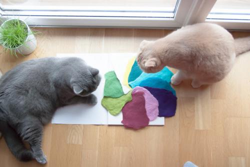 Как делается фетр. Делаем фетр своими руками