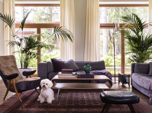 Комната с двумя окнами. Особенности гостиной с двумя окнами 02