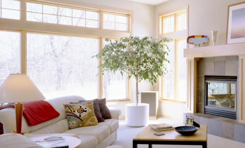 Цвет стен в гостинной по фен-шуй. Правила оформления гостиной по фен шуй