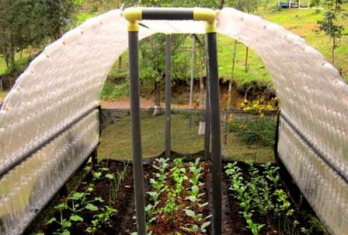 Забор из пластиковых бутылок очумелые ручки. Делаем теплицу, сарай, парник