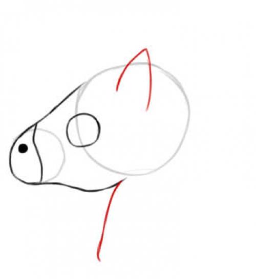 Как нарисовать единорога