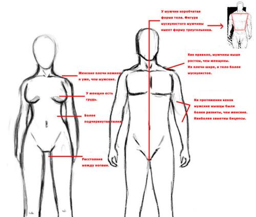 Как нарисовать на стене цветы. Основные виды трафаретов 32 Как нарисовать на стене цветы. Основные виды трафаретов 32