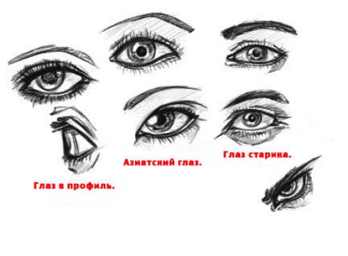 Как нарисовать на стене цветы. Основные виды трафаретов 33 Как нарисовать на стене цветы. Основные виды трафаретов 33