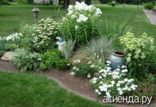 Парадная клумба перед домом. Оформление цветника в парадной зоне
