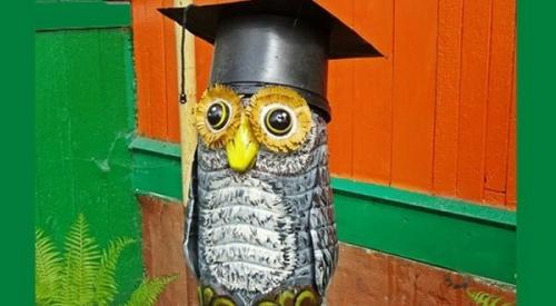 Как сделать попугая из пластиковых бутылок. Попугай из пластиковых ложек и бутылок 14