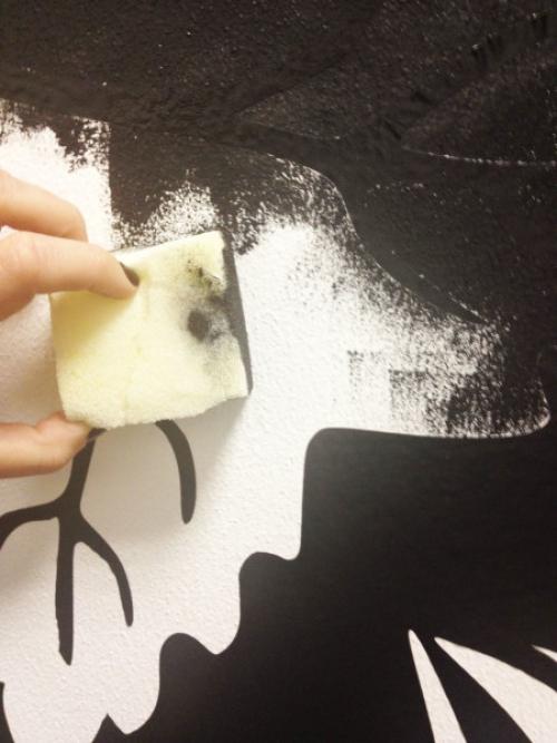 Цветы рисунки на стене. Некоторые особенности росписи по штукатурке