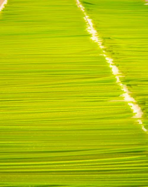 Полезные вещи для кухни. Иде. Универсальный держатель для ножа