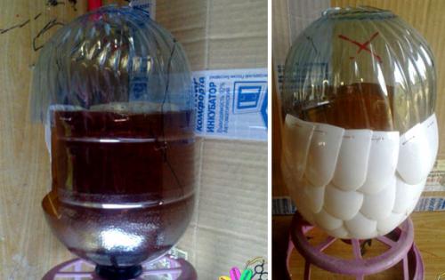 Как сделать попугая из пластиковых бутылок. Попугай из пластиковых ложек и бутылок