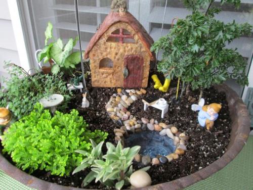 Мини-сад на окне. Удивительный мини-сад на подоконнике — делаем на зависть подруге