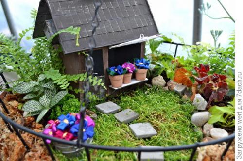 Мини-сад из комнатных растений. Мини-сад в горшке — выбираем растения