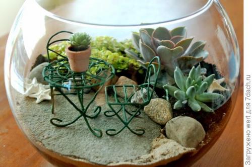 Мини-сад из комнатных растений. Мини-сад в горшке — выбираем растения