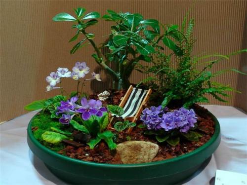 Мини-сад на окне. Удивительный мини-сад на подоконнике — делаем на зависть подруге