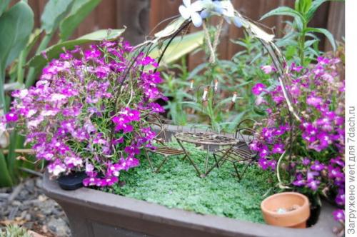 Мини-сад из комнатных растений. Мини-сад в горшке — выбираем растения