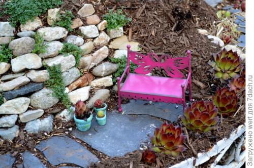 Мини-сад из комнатных растений. Мини-сад в горшке — выбираем растения