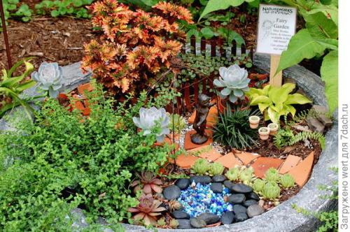 Мини-сад из комнатных растений. Мини-сад в горшке — выбираем растения