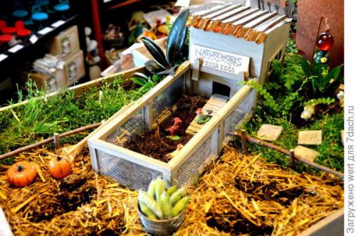 Мини-сад из комнатных растений. Мини-сад в горшке — выбираем растения