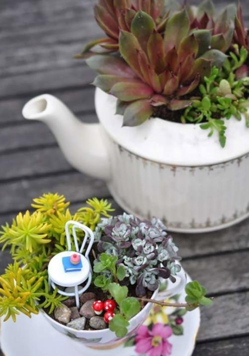 Искусственный мини-сад своими руками. Как создать роскошный мини-сад своими руками из обычной бочки и нескольких цветов