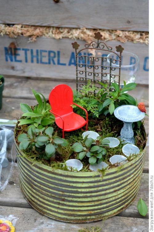 Мини-сад из комнатных растений. Мини-сад в горшке — выбираем растения