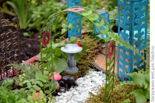 Мини-сад из комнатных растений. Мини-сад в горшке — выбираем растения