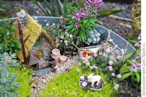 Мини-сад из комнатных растений. Мини-сад в горшке — выбираем растения