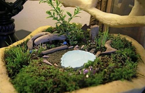 Искусственный мини-сад своими руками. Как создать роскошный мини-сад своими руками из обычной бочки и нескольких цветов