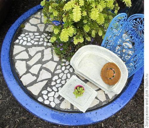 Мини-сад из комнатных растений. Мини-сад в горшке — выбираем растения