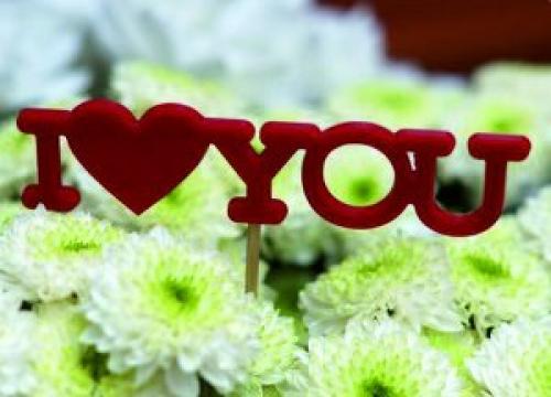 Топпер, что это такое. Матрас-топпер: что это, как определиться с выбором 02