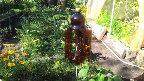 Торохтушка от кротов. Отпугиватель для кротов своими руками