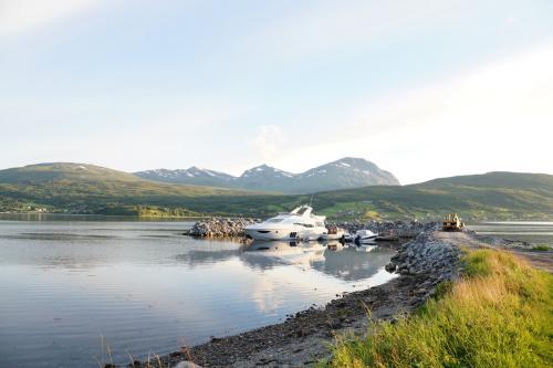 Как чистят селедку в норвегии. Как быстро чистят рыбу в Норвегии, интересная идея.