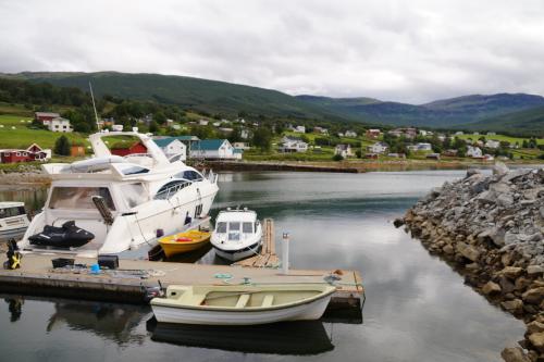 Как чистят селедку в норвегии. Как быстро чистят рыбу в Норвегии, интересная идея.