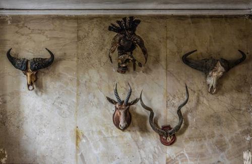 Замок во Франции заброшенный. Заброшенный замок во Франции