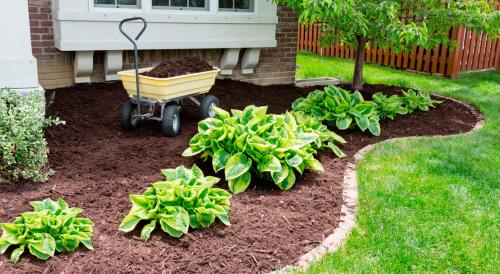 Секреты красивого сада. 7 секретов сада, за которым легко ухаживать