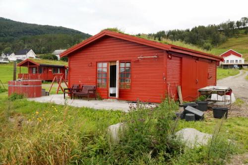 Как чистят селедку в норвегии. Как быстро чистят рыбу в Норвегии, интересная идея.