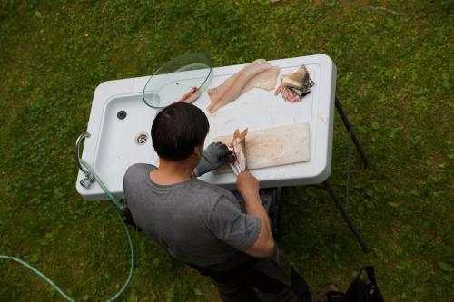 Как чистят селедку в норвегии. Как быстро чистят рыбу в Норвегии, интересная идея.