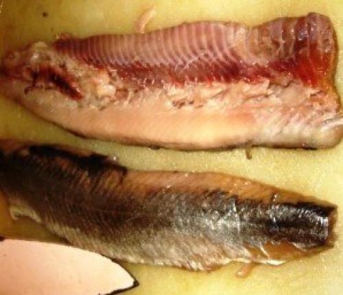 Как отделить селедку от костей одним движением. Как правильно разделать селедку, чтобы остались все самые жирные и вкусные части рыбы?