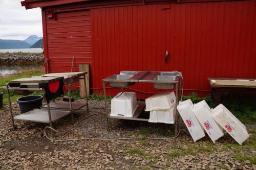 Как чистят селедку в норвегии. Как быстро чистят рыбу в Норвегии, интересная идея.