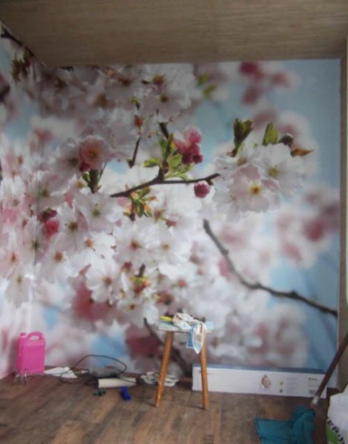 Как сделать из квартиры конфетку. Спальня – гостиная