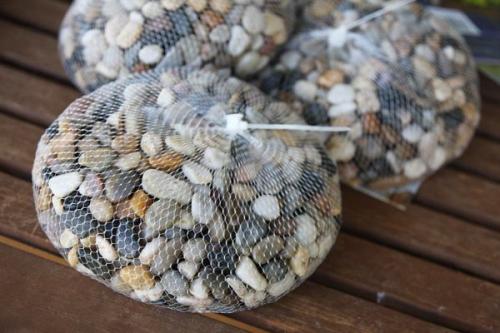 Как вырастить тюльпаны дома в вазе. Как вырастить тюльпаны и нарциссы в вазе