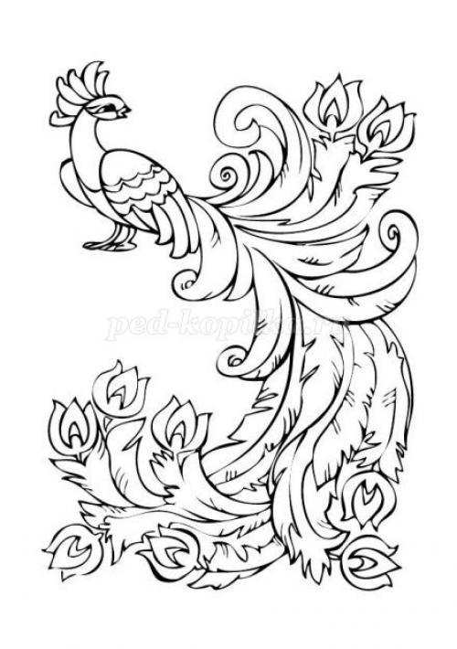 Как сделать Жар птицу. Жар птица из бумаги своими руками: птица-феникс в технике квиллинг 22 Как сделать Жар птицу. Жар птица из бумаги своими руками: птица-феникс в технике квиллинг 22