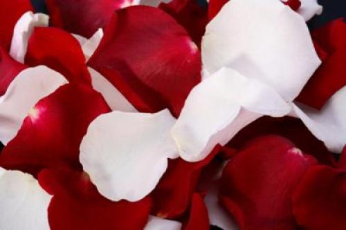 С какими обоями сочетается белая мебель. Белая мебель —, как выбрать цвет стен: 11 сюжетов для вдохновения + 42 примера