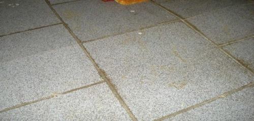 Как положить плитку на дерево. Сложности при укладке плитки