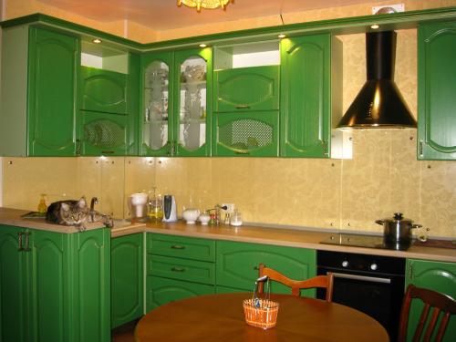 Фартук для зеленой кухни. Что в каком цвете оформить?