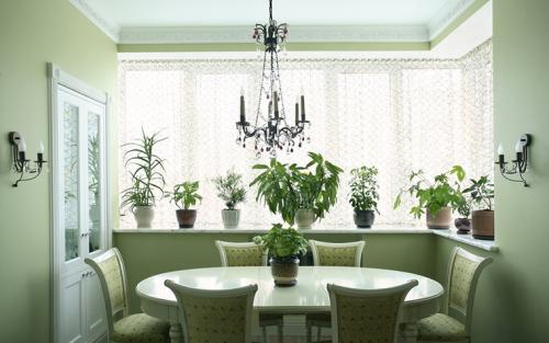 Обои под зеленый кухонный гарнитур. Где рекомендовано использовать цвет