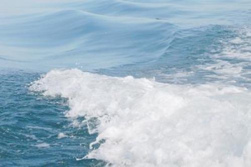 С какими обоями сочетается белая мебель. Белая мебель —, как выбрать цвет стен: 11 сюжетов для вдохновения + 42 примера