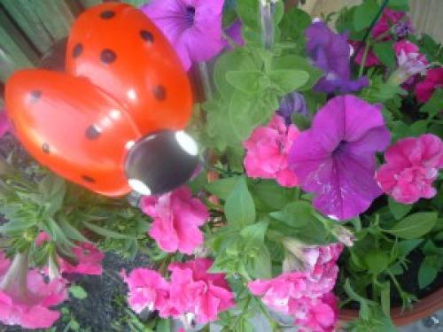 Как сделать божью коровку из пластиковых ложек.