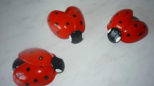 Как сделать божью коровку из пластиковых ложек.