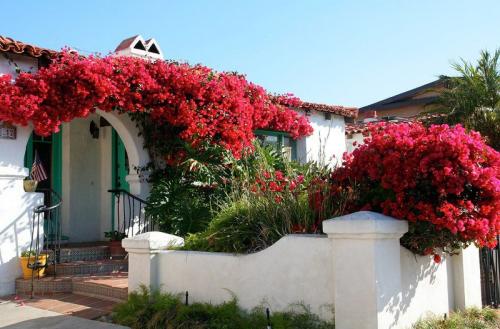 Дома, утопающие в зелени и цветах 07